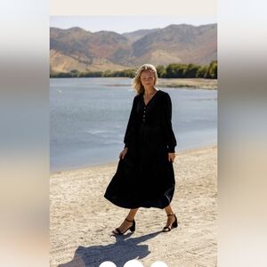 Roolee Silver Linings Velvet Dress